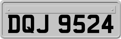 DQJ9524