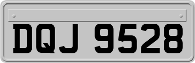 DQJ9528