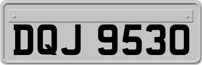 DQJ9530