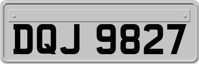 DQJ9827