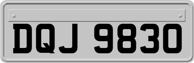 DQJ9830