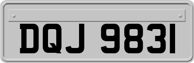 DQJ9831