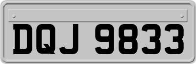 DQJ9833