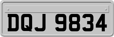 DQJ9834