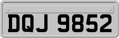 DQJ9852