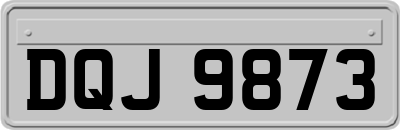DQJ9873