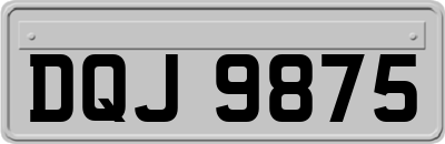 DQJ9875