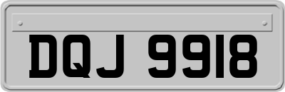 DQJ9918