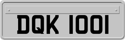 DQK1001