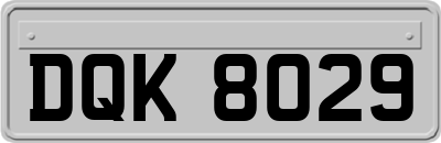 DQK8029