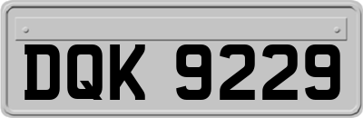 DQK9229