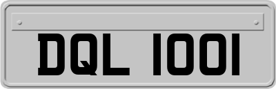 DQL1001