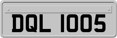 DQL1005