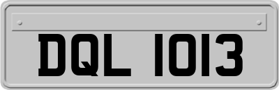 DQL1013