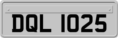 DQL1025