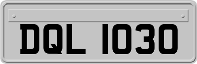 DQL1030