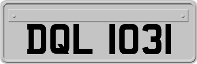 DQL1031