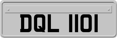 DQL1101