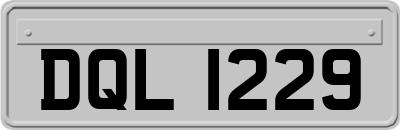 DQL1229
