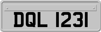 DQL1231