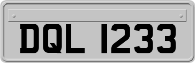 DQL1233