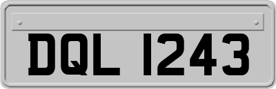 DQL1243