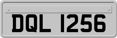 DQL1256