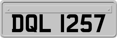 DQL1257