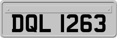 DQL1263
