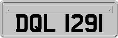 DQL1291