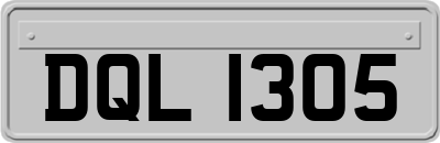 DQL1305