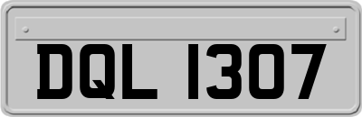 DQL1307