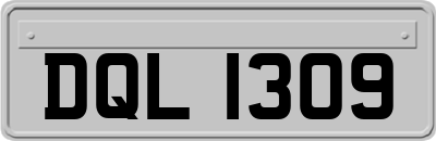 DQL1309