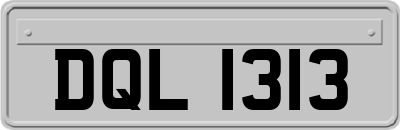 DQL1313