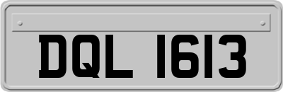 DQL1613