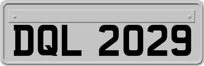 DQL2029