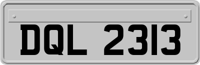 DQL2313