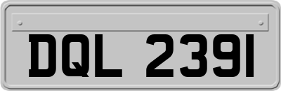 DQL2391