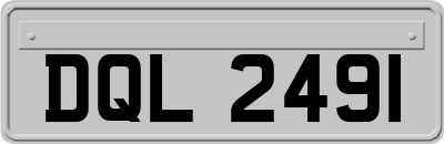 DQL2491