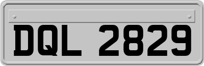 DQL2829