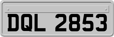 DQL2853