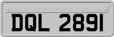 DQL2891