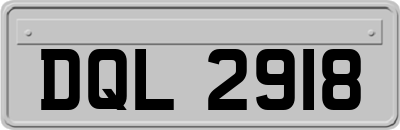 DQL2918