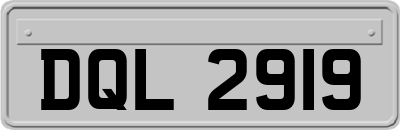 DQL2919