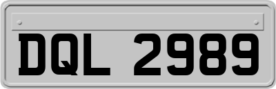 DQL2989