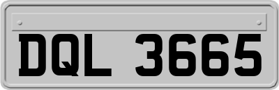 DQL3665