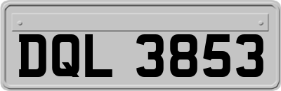 DQL3853