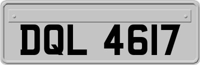 DQL4617