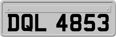 DQL4853