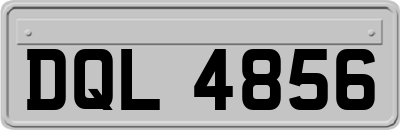 DQL4856